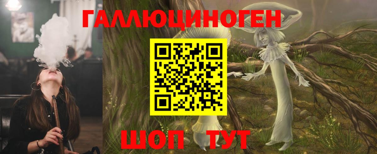 Псилоцибиновые грибы Psilocybine cubensis Каменка