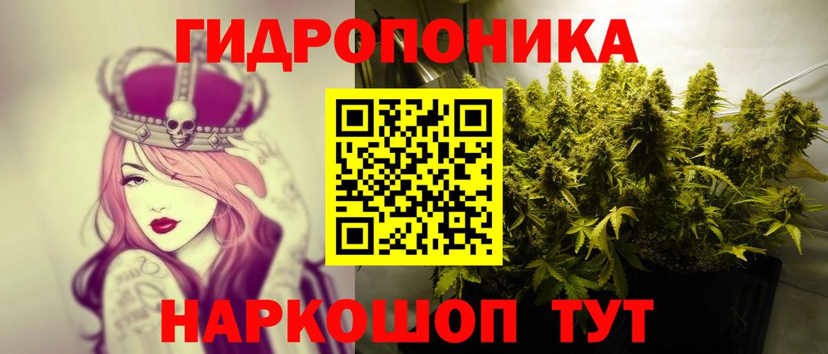 Конопля сатива Каменка